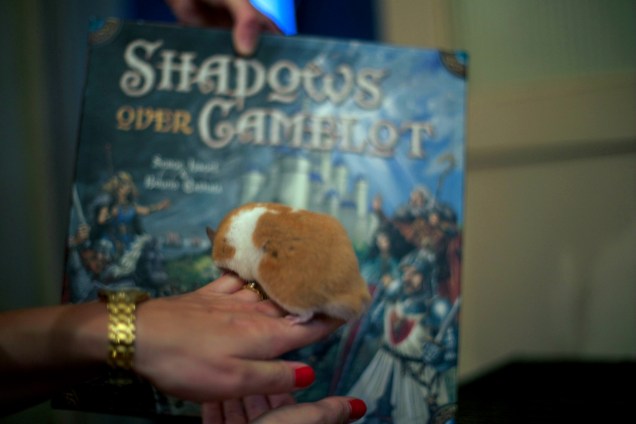 You know the hamster's in the way, right? Sigh. Of course you do.