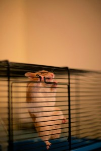 Let me out of the brig!